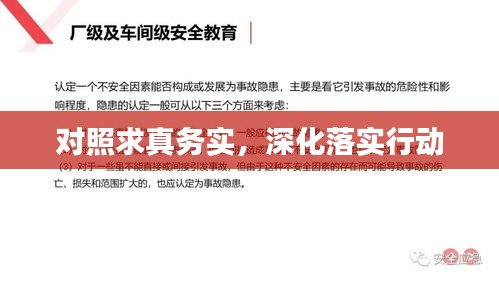 对照求真务实,深化落实行动