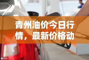 青州油价今日行情，最新价格动态！